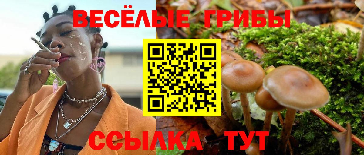 Псилоцибиновые грибы Psilocybine cubensis  Вход с VPN  Галлюциногенные грибы прущие грибы  Бузулук 